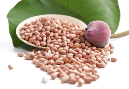 5 NGON FOOD – Đối tác đáng tin cậy trong gia công & đóng gói đậu phộng