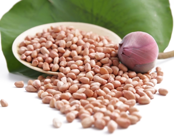 5 NGON FOOD – Đối tác đáng tin cậy trong gia công & đóng gói đậu phộng